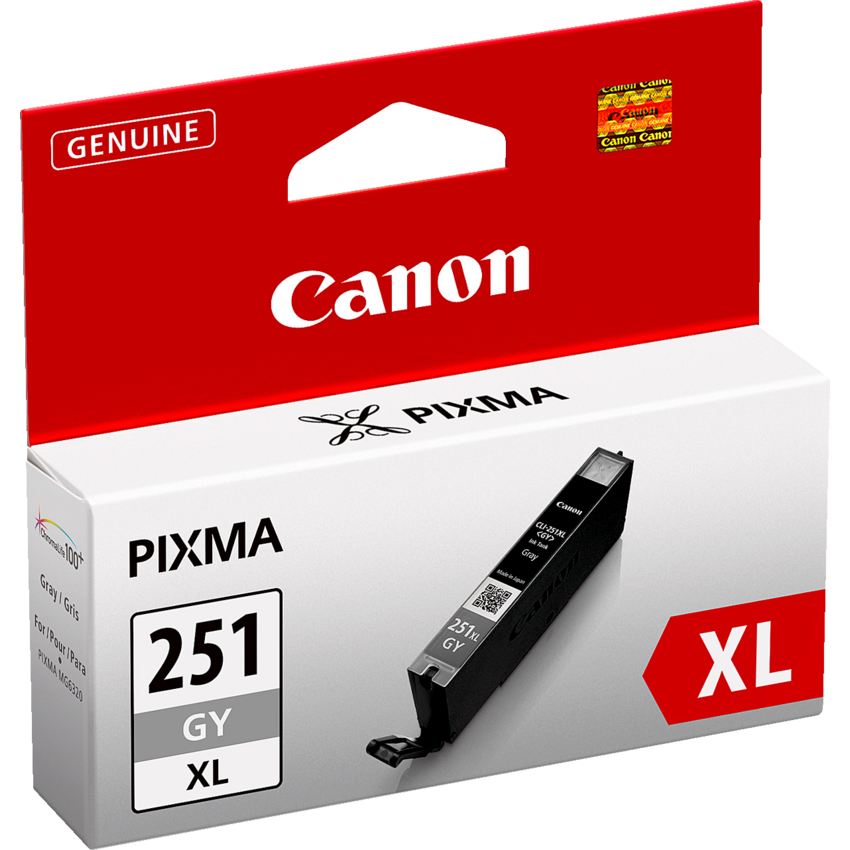 Canon Inkjet Cartridges # 251XL High Yield Grey