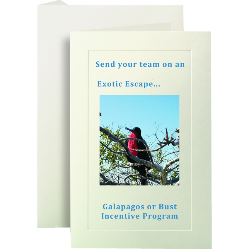 St. James® Overtures™ Invitations w/Envelopes Ivory 40 sets/pkg