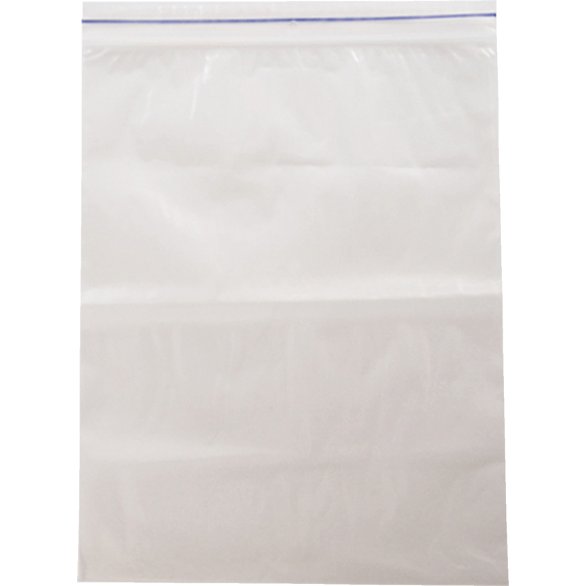 Vera Reclosable Bags 2 mil 9" x 12" Clear 500/box