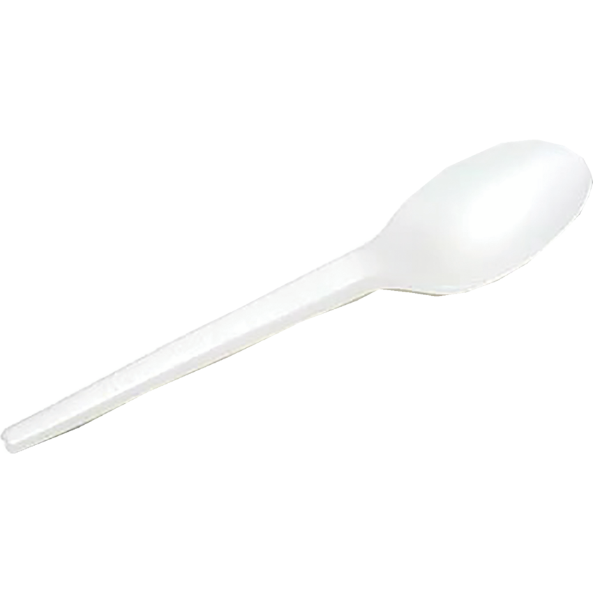 Eco Guardian™ Compostable Spoon 6-1/2" 50/pkg